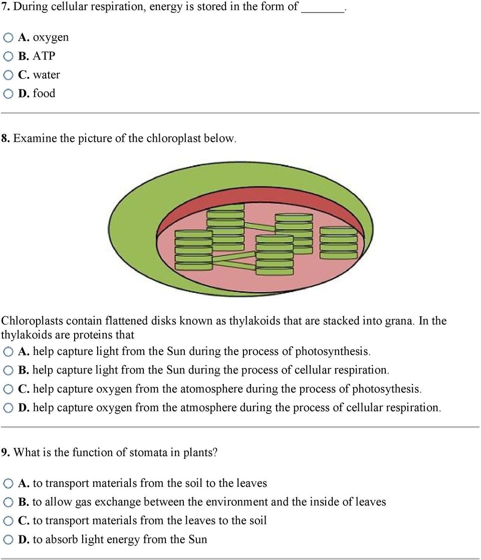 help capture light from the Sun during the process of cellular respiration. C. help capture oxygen from the atomosphere during the process of photosythesis. D.