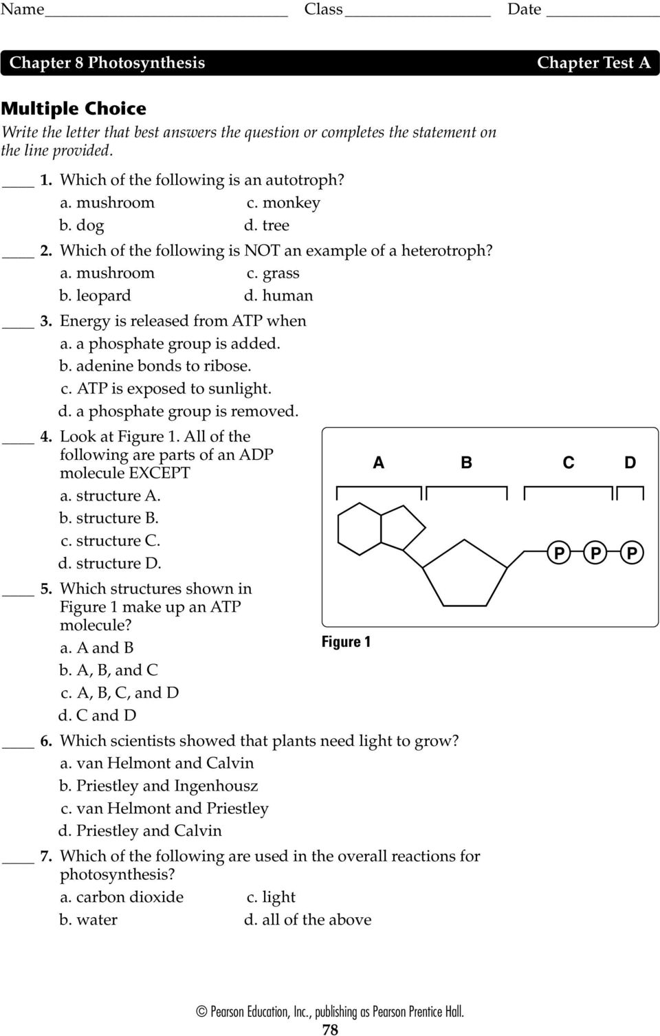 c. ATP is exposed to sunlight. d. a phosphate group is removed. 4. Look at Figure 1. All of the following are parts of an ADP molecule EXCEPT A B C D a. structure A. b. structure B. c. structure C. d. structure D.
