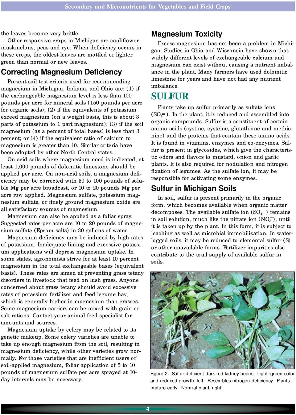 Correcting Magnesium Deficiency Present soil test criteria used for recommending magnesium in Michigan, Indiana, and Ohio are: (1) if the exchangeable magnesium level is less than 100 pounds per acre