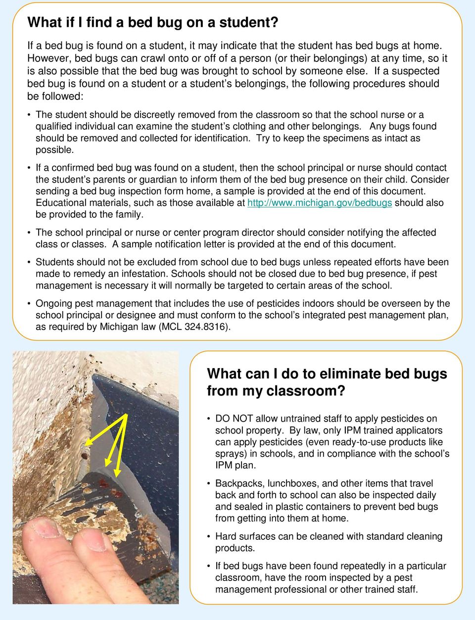 If a suspected bed bug is found on a student or a student s belongings, the following procedures should be followed: The student should be discreetly removed from the classroom so that the school