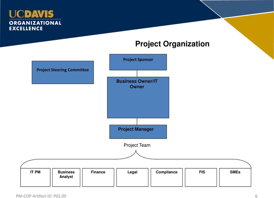 Owner/IT Owner Project Manager Project Team