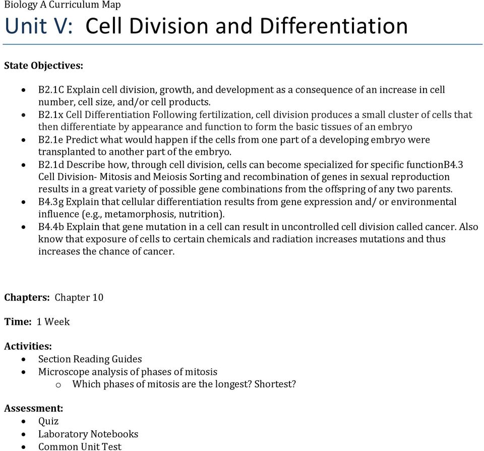 1x Cell Differentiation Following fertilization, cell division produces a small cluster of cells that then differentiate by appearance and function to form the basic tissues of an embryo B2.
