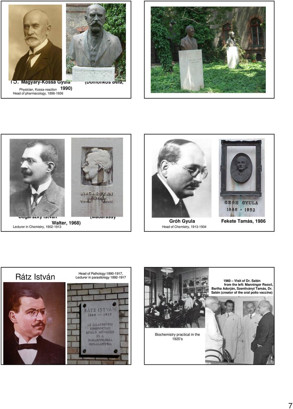 István Head of Pathology:1890 :1890-1917, 1917, Lecturer in parasitology 1892-1917 1917 1960 Visit of Dr.