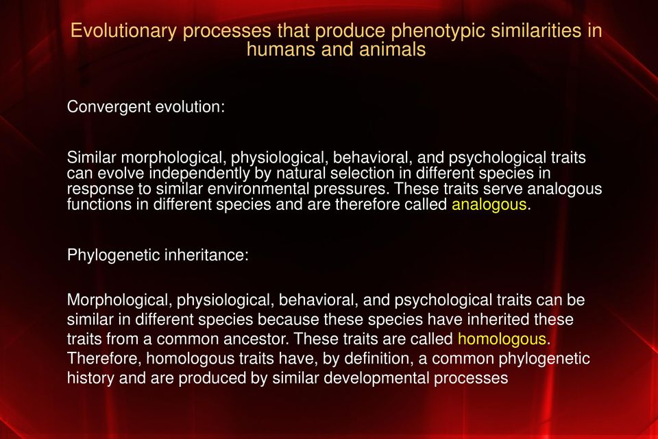 These traits serve analogous functions in different species and are therefore called analogous.