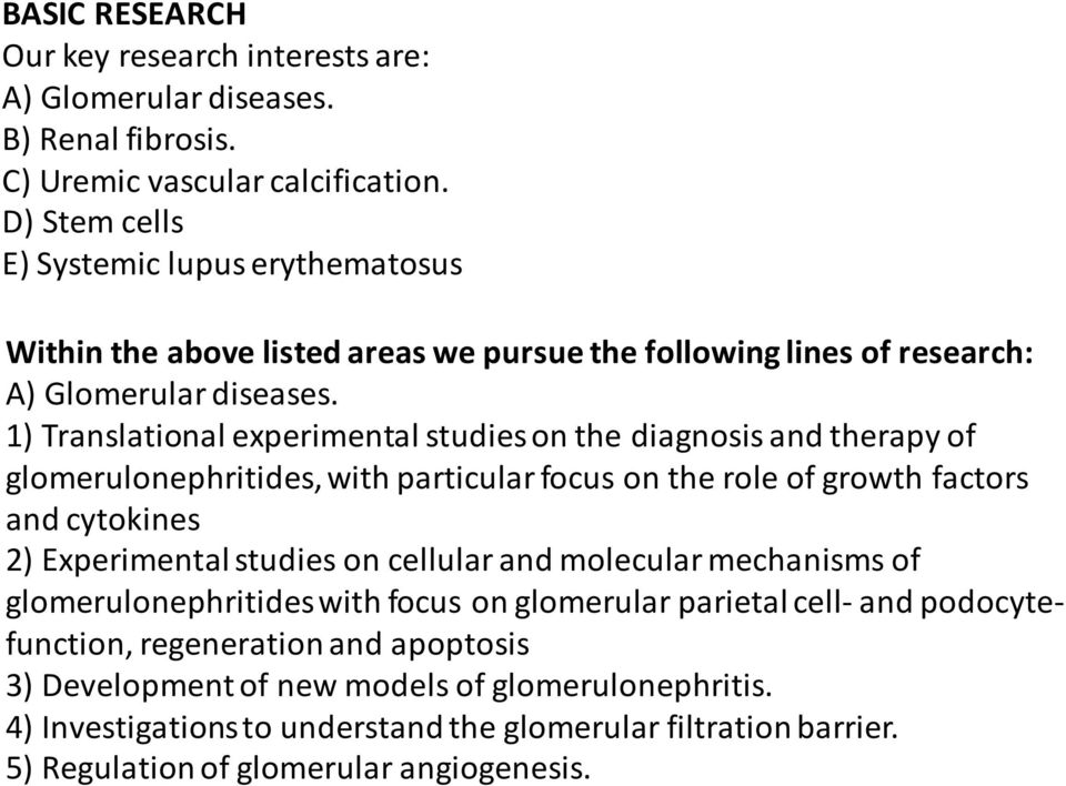 1) Translational experimental studies on the diagnosis and therapy of glomerulonephritides, with particular focus on the role of growth factors and cytokines 2) Experimental studies on