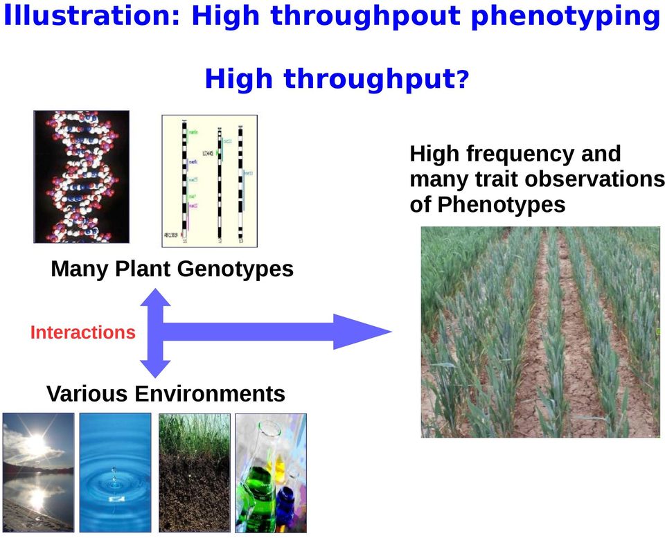 High frequency and many trait observations