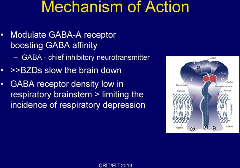 slow the brain down GABA receptor density low in