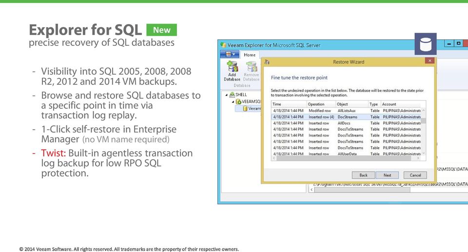 - Browse and restore SQL databases to a specific point in time via transaction log replay.