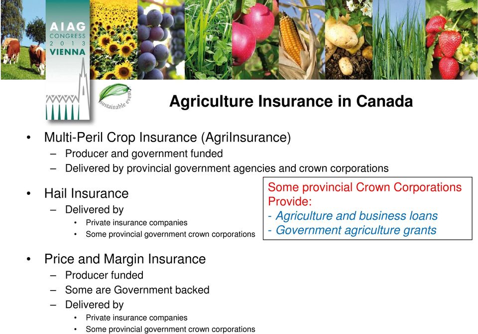 corporations Some provincial Crown Corporations Provide: - Agriculture and business loans - Government agriculture grants Price and