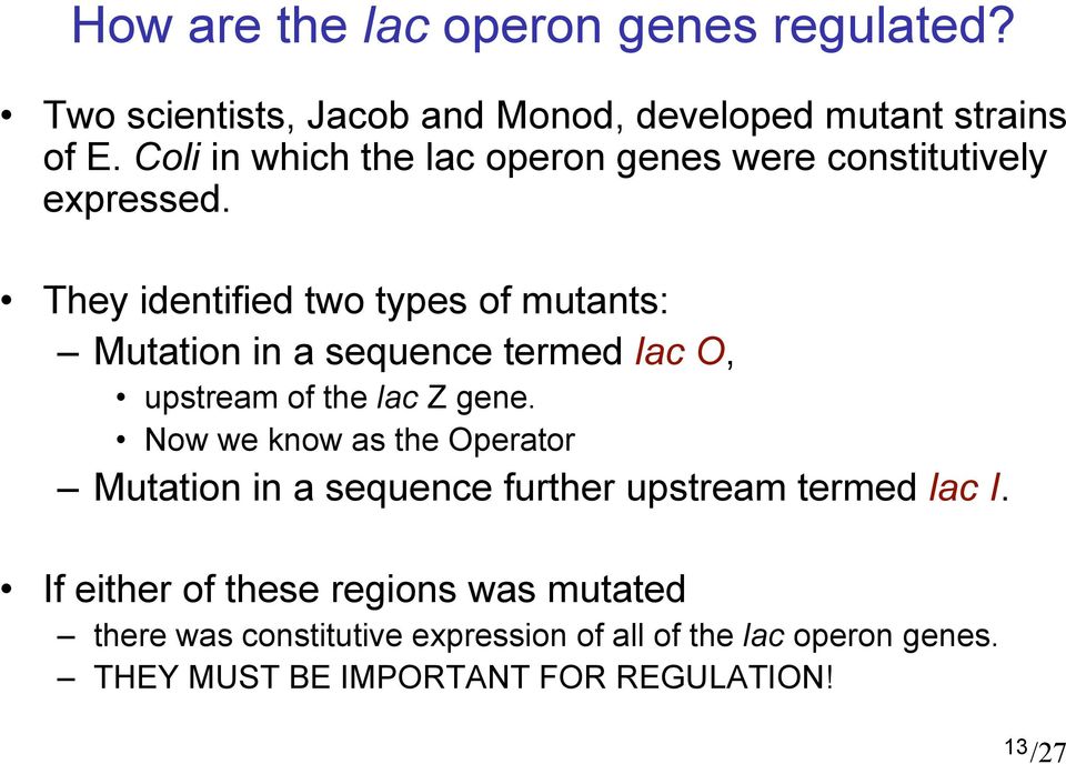 They identified two types of mutants: Mutation in a sequence termed lac O, upstream of the lac Z gene.