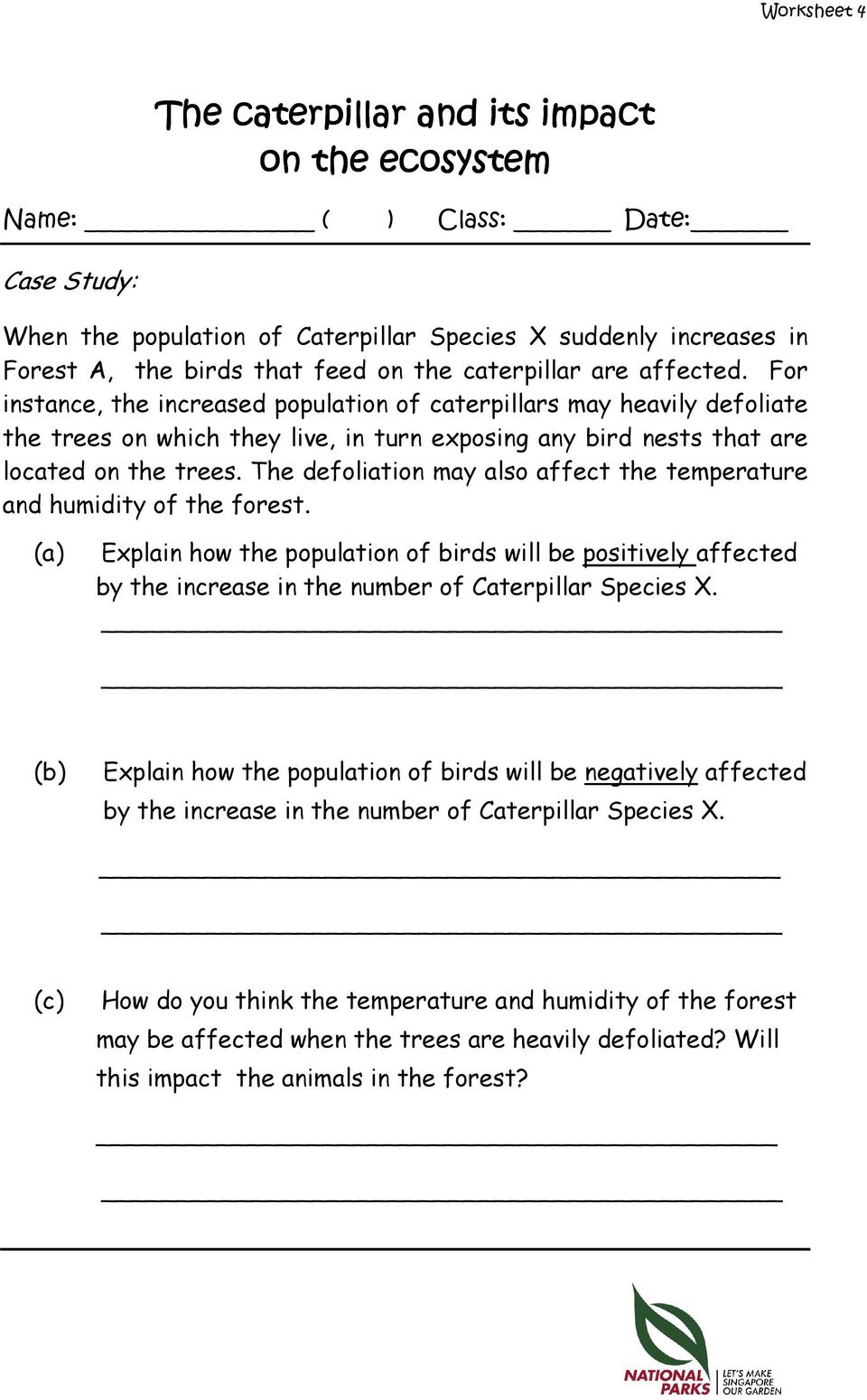 The defoliation may also affect the temperature and humidity of the forest. (a) Explain how the population of birds will be positively affected by the increase in the number of Caterpillar Species X.