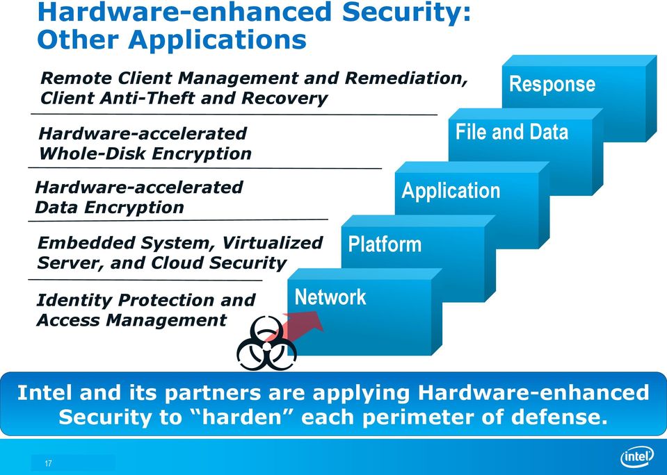 Application Embedded System, Virtualized Server, and Cloud Security Identity Protection and Access Management