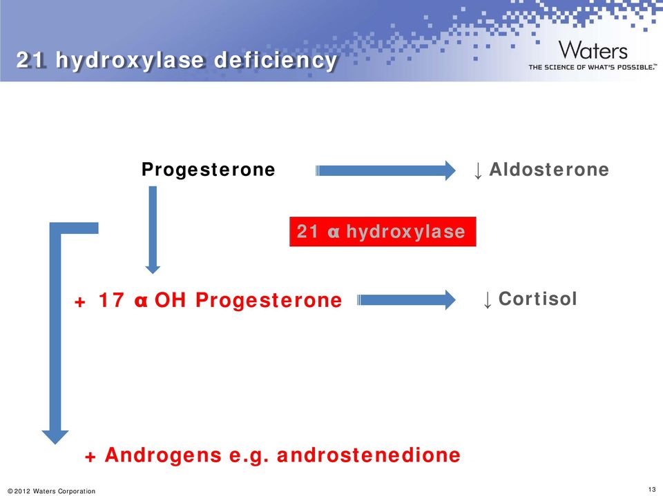 Progesterone Cortisol + Androgens e.g.