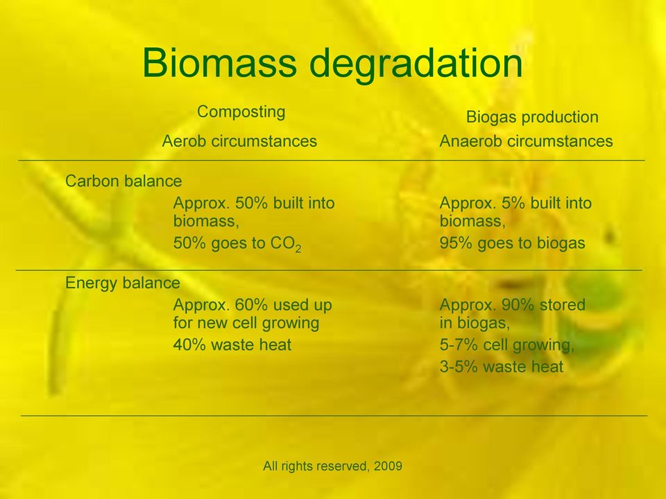 5% built into biomass, biomass, 50% goes to CO 2 95% goes to biogas Energy balance