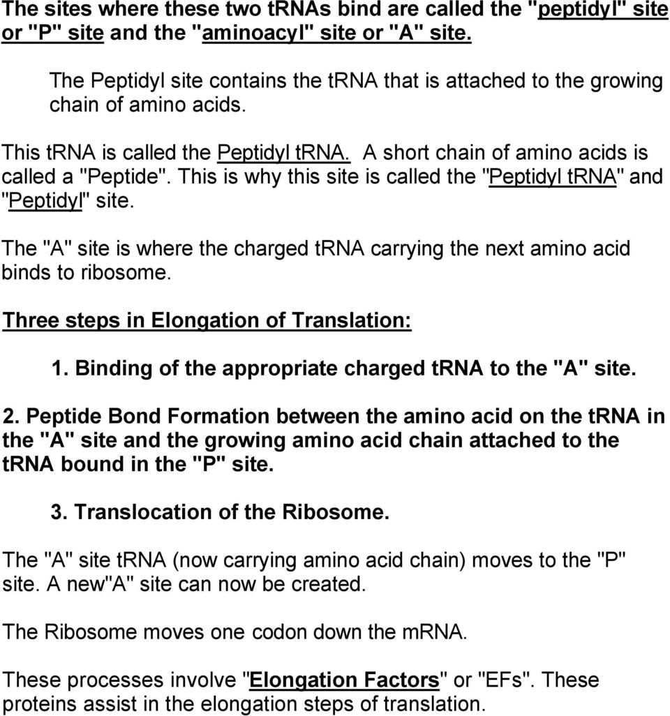 This is why this site is called the "Peptidyl trna" and "Peptidyl" site. The "A" site is where the charged trna carrying the next amino acid binds to ribosome.