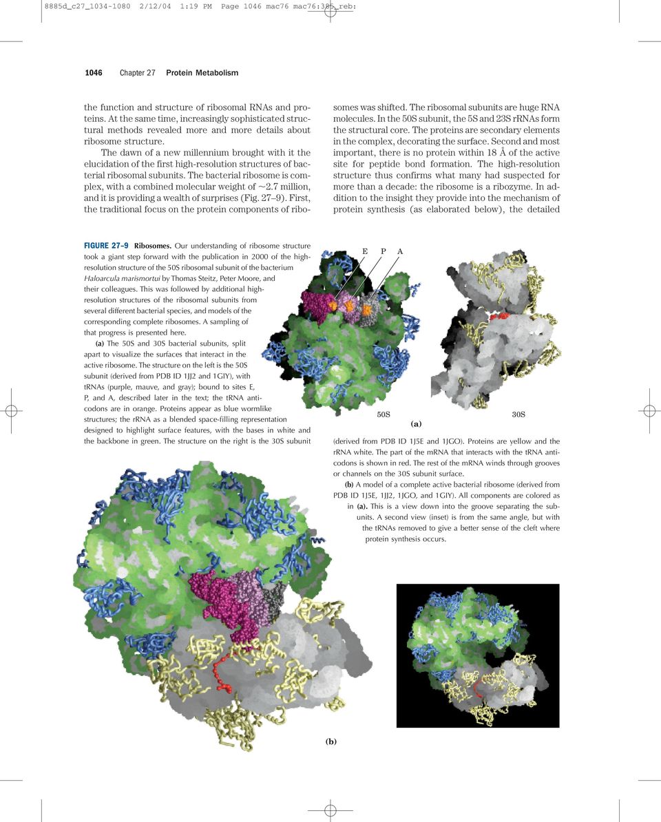 The dawn of a new millennium brought with it the elucidation of the first high-resolution structures of bacterial ribosomal subunits.