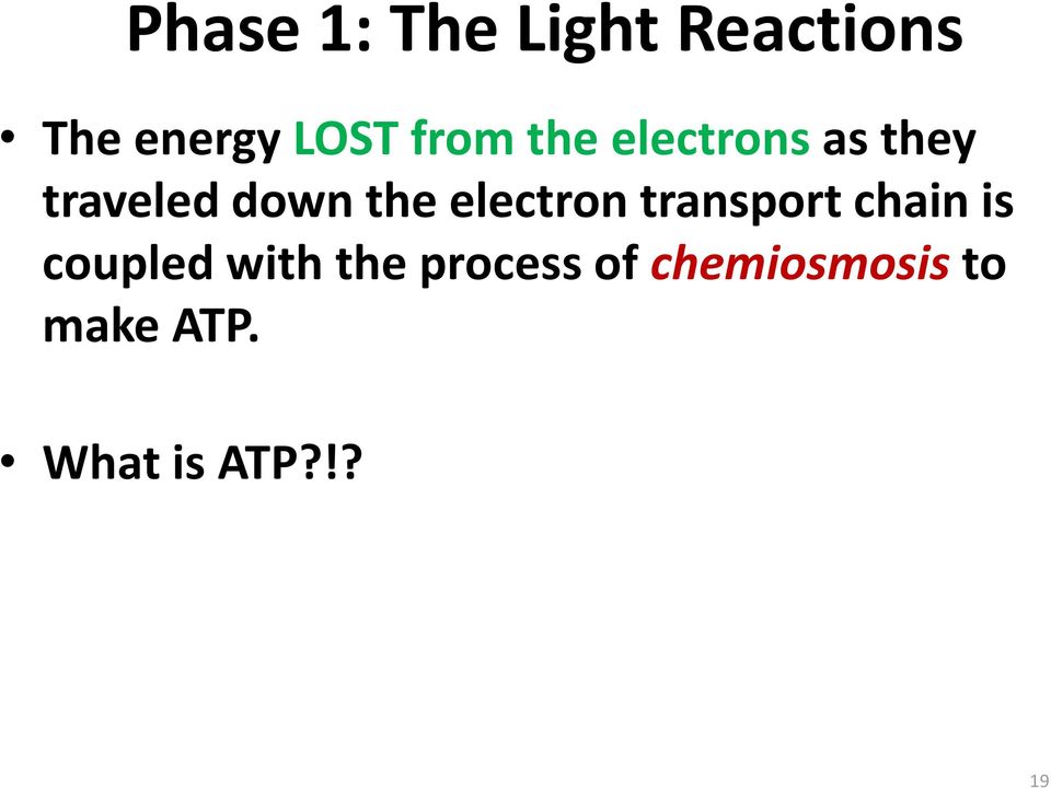 electron transport chain is coupled with the
