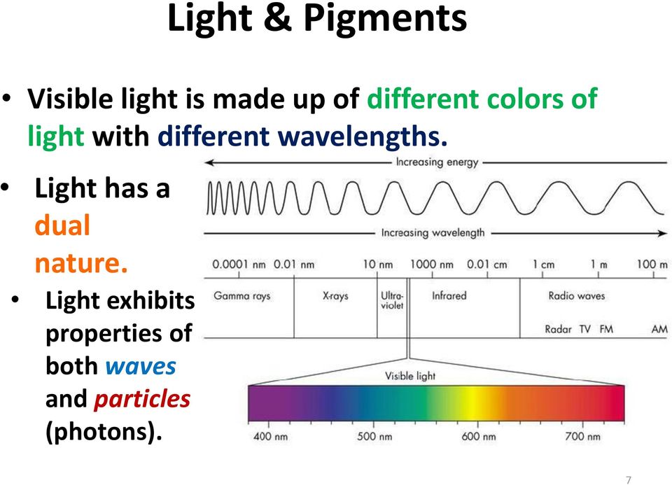 wavelengths. Light has a dual nature.