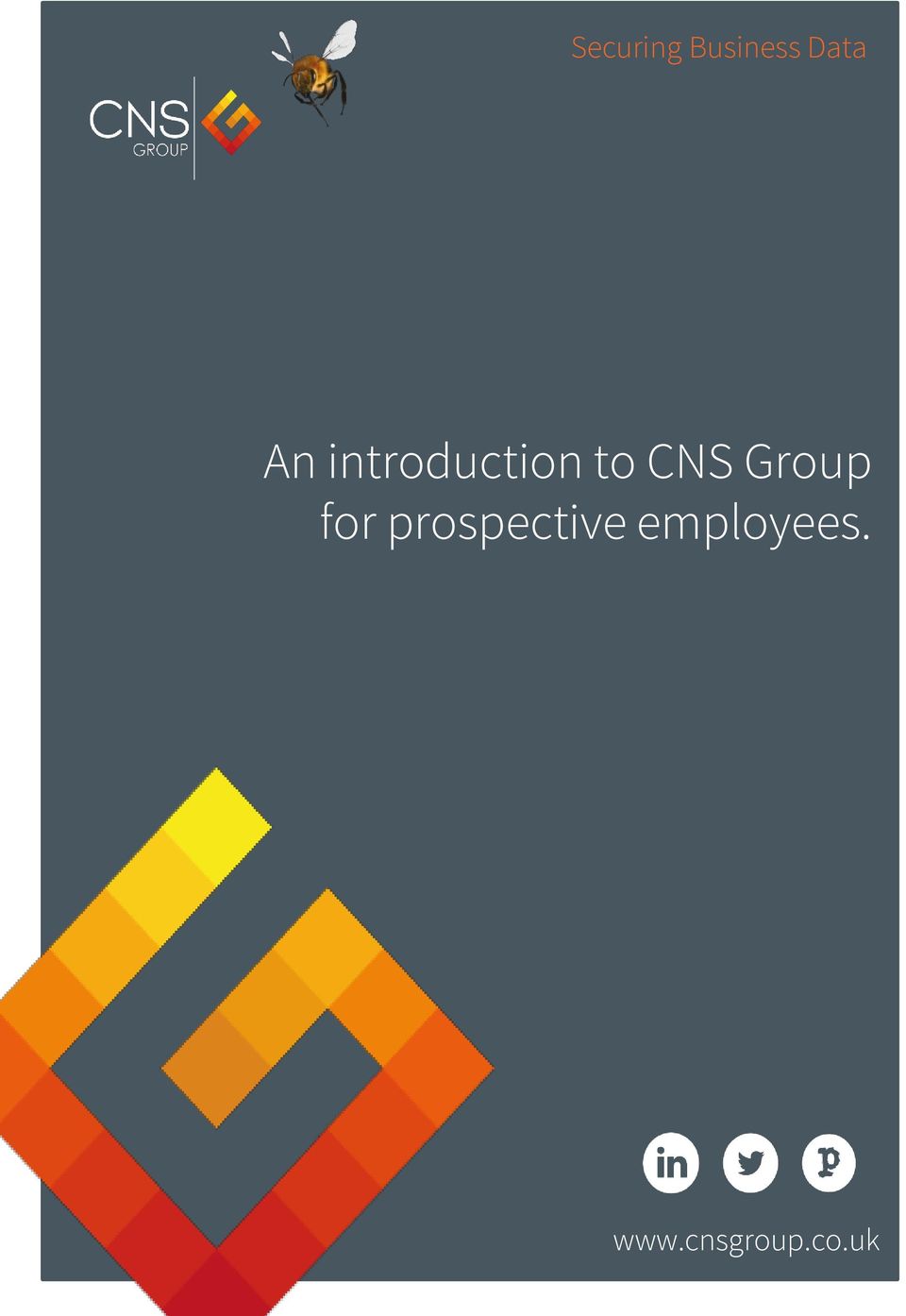 introduction to CNS