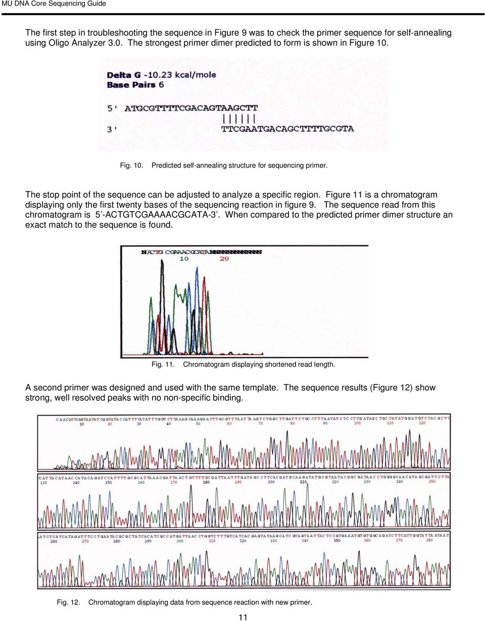 The stop point of the sequence can be adjusted to analyze a specific region. Figure 11 is a chromatogram displaying only the first twenty bases of the sequencing reaction in figure 9.