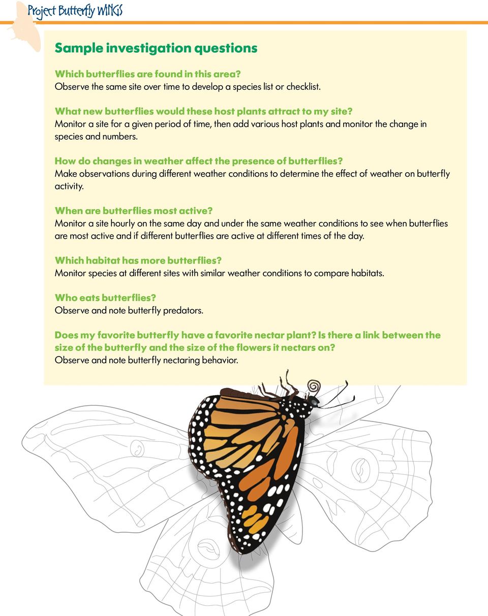 How do changes in weather affect the presence of butterflies? Make observations during different weather conditions to determine the effect of weather on butterfly activity.
