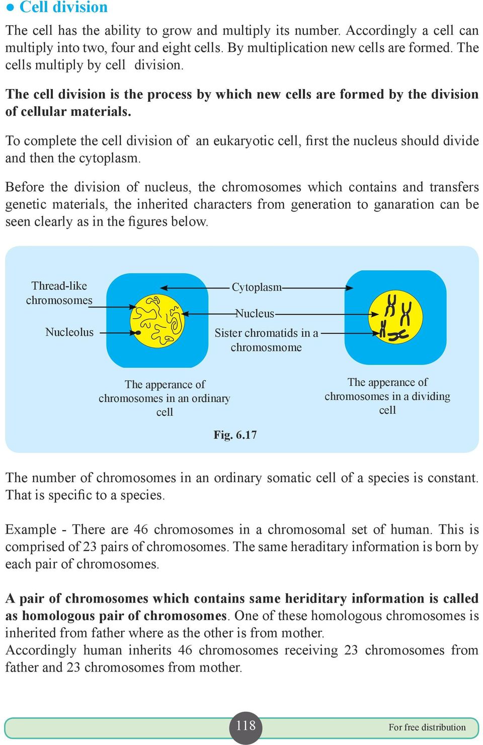 To complete the cell division of an eukaryotic cell, first the nucleus should divide and then the cytoplasm.