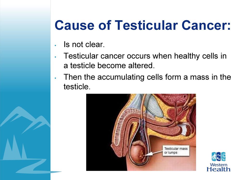 cells in a testicle become altered.