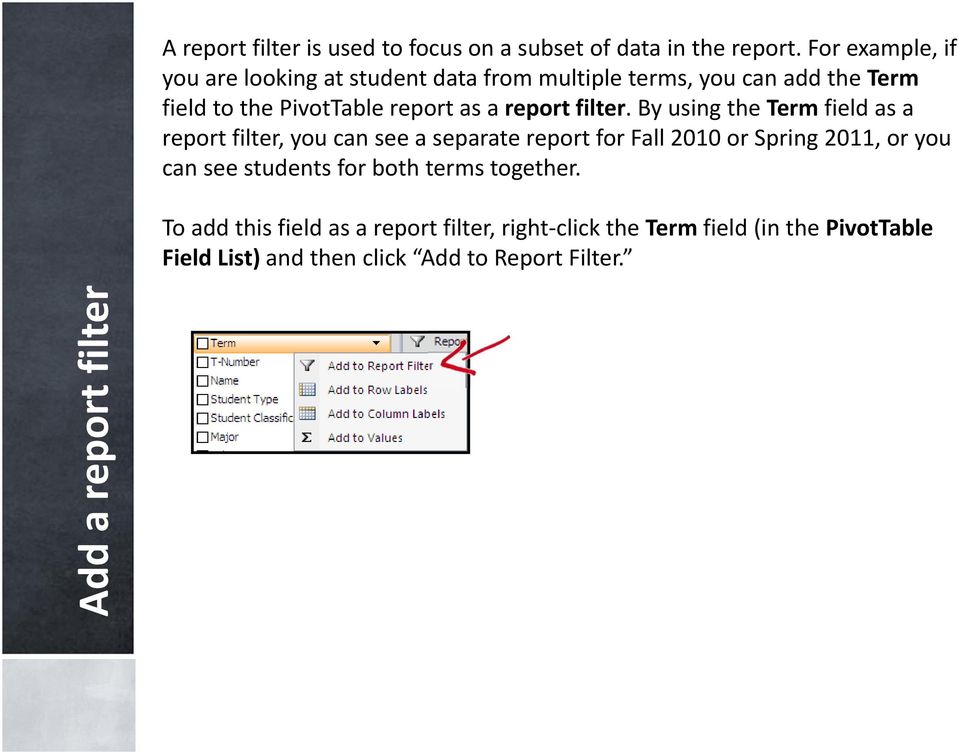 report filter.
