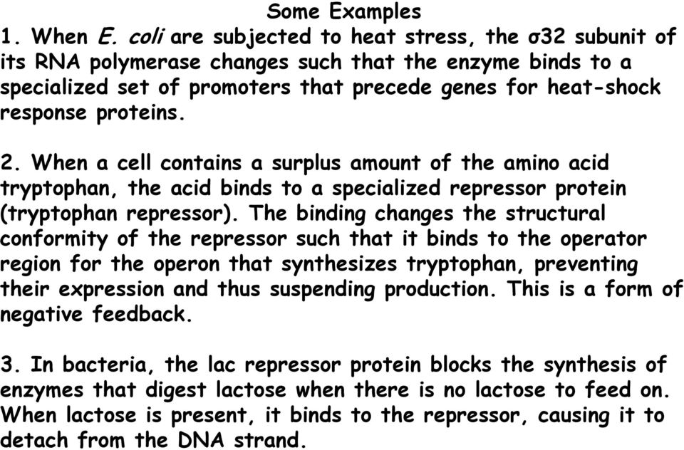 When a cell contains a surplus amount of the amino acid tryptophan, the acid binds to a specialized repressor protein (tryptophan repressor).