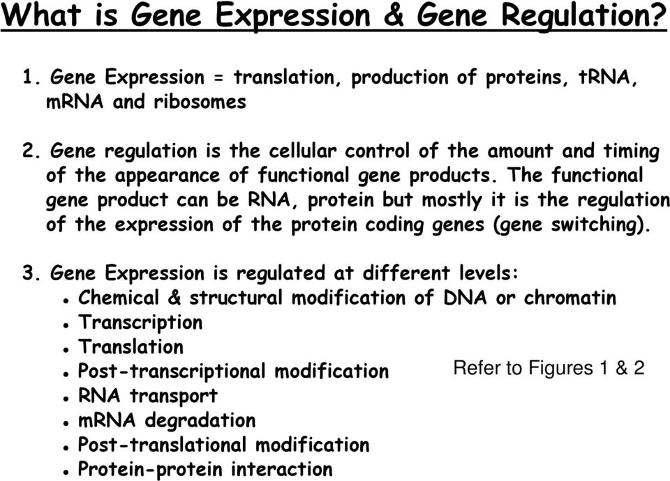 The functional gene product can be RNA, protein but mostly it is the regulation of the expression of the protein coding genes (gene switching). 3.