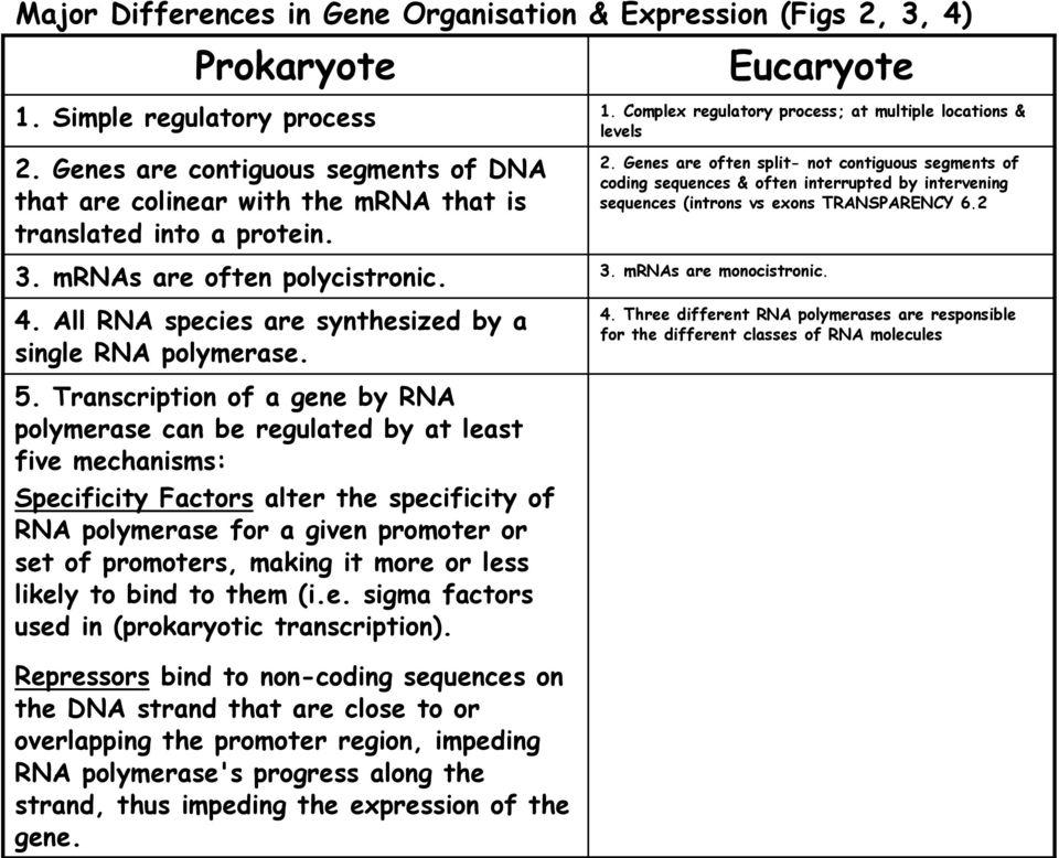 Eucaryote 1. Complex regulatory process; at multiple locations & levels 2.