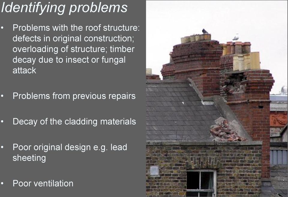 insect or fungal attack Problems from previous repairs Decay of the