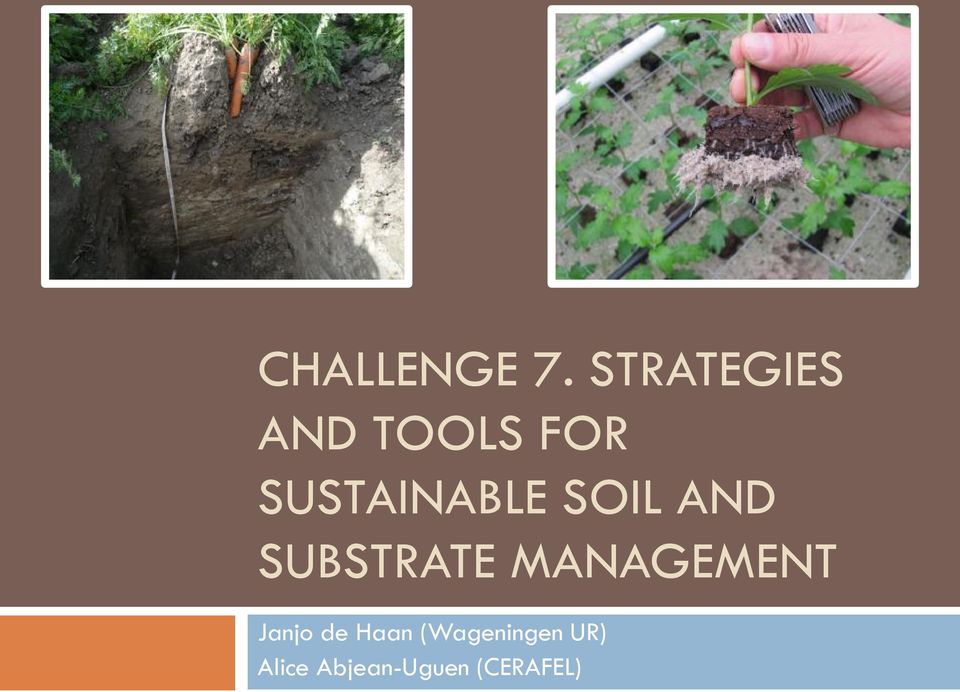 SUSTAINABLE SOIL AND SUBSTRATE