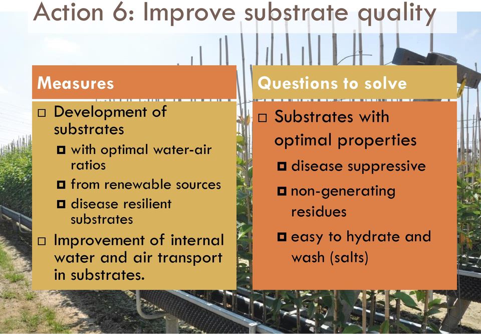 Improvement of internal water and air transport in substrates.