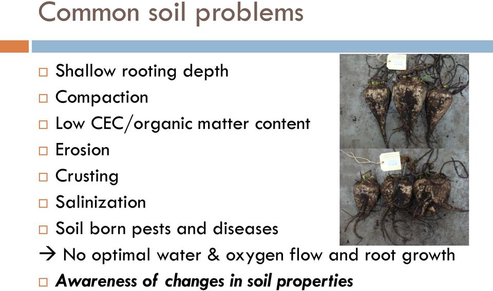 Soil born pests and diseases No optimal water & oxygen