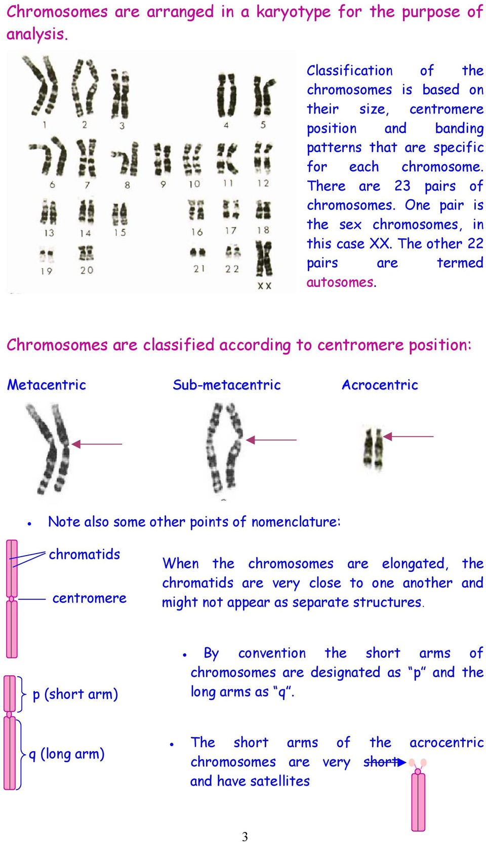 One pair is the sex chromosomes, in this case XX. The other 22 pairs are termed autosomes.
