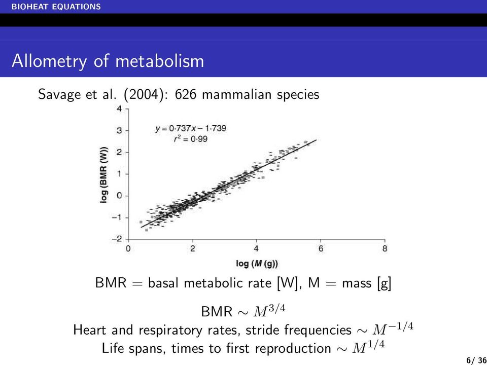 [W], M = mass [g] BMR M 3/4 Heart and respiratory rates,