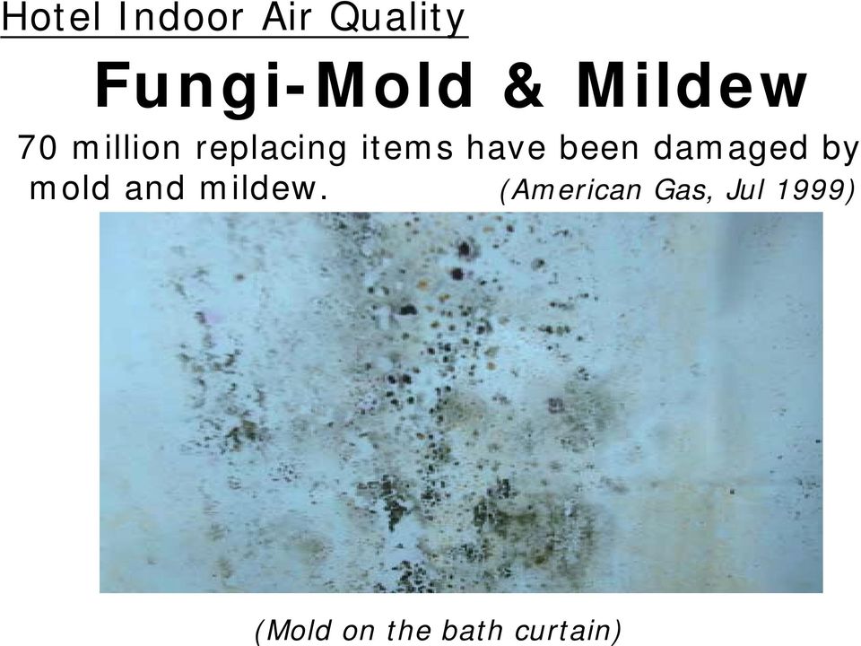 by mold and mildew.