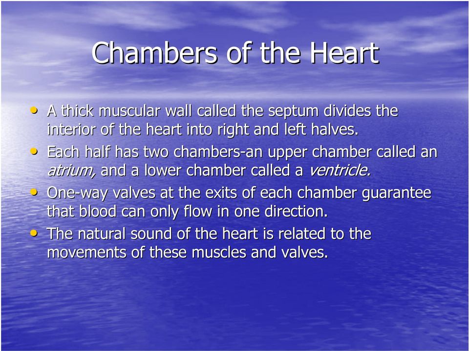 Each half has two chambers-an an upper chamber called an atrium, and a lower chamber called a ventricle.