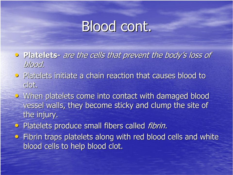 When platelets come into contact with damaged blood vessel walls, they become sticky and clump the