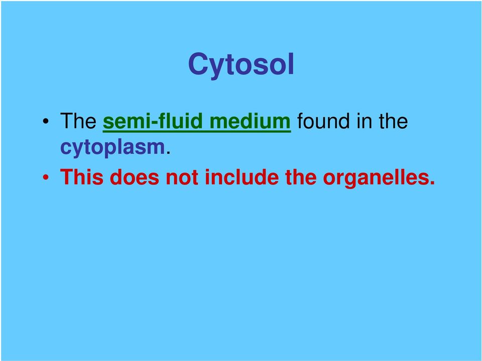 cytoplasm.