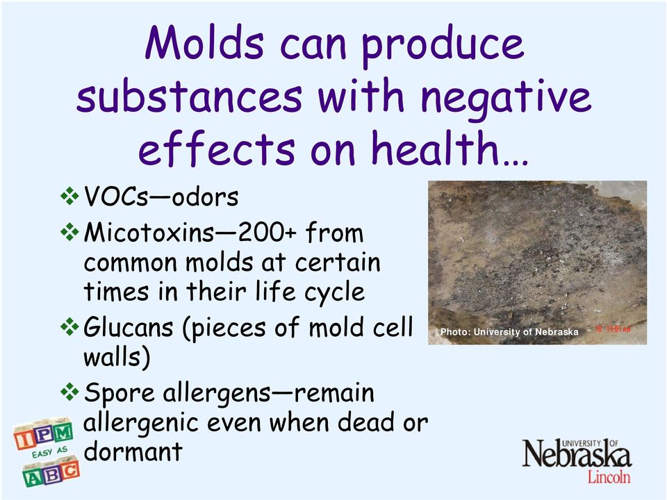 life cycle Glucans (pieces of mold cell walls) Spore allergens