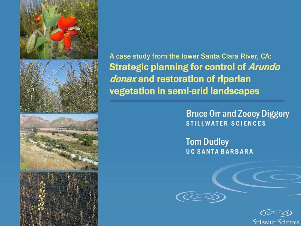 vegetation in semi-arid landscapes Bruce Orr and Zooey Diggory S