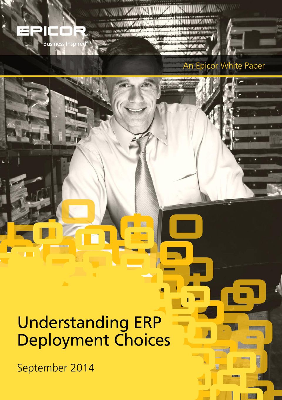 Understanding ERP
