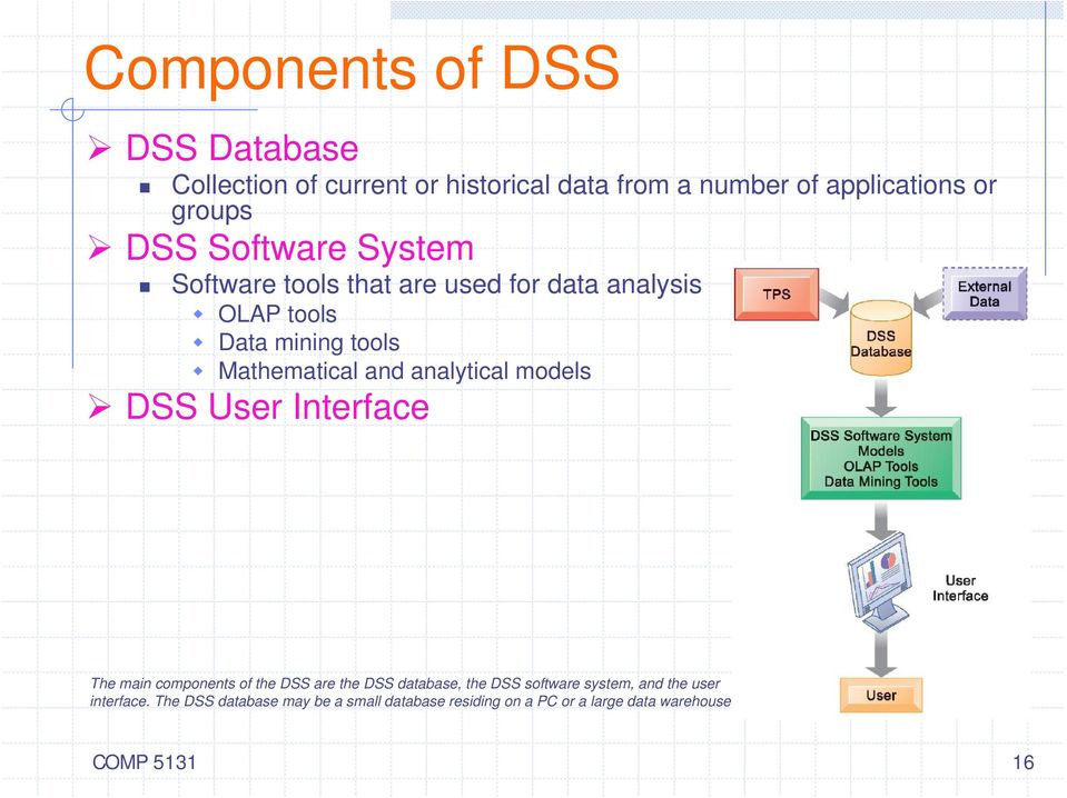 analytical models DSS User Interface The main components of the DSS are the DSS database, the DSS software system,