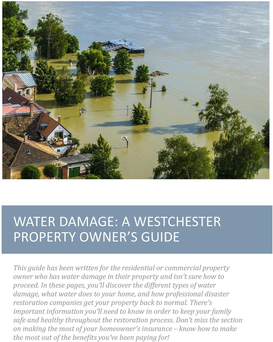 In these pages, you ll discover the different types of water damage, what water does to your home, and how professional disaster restoration companies get your