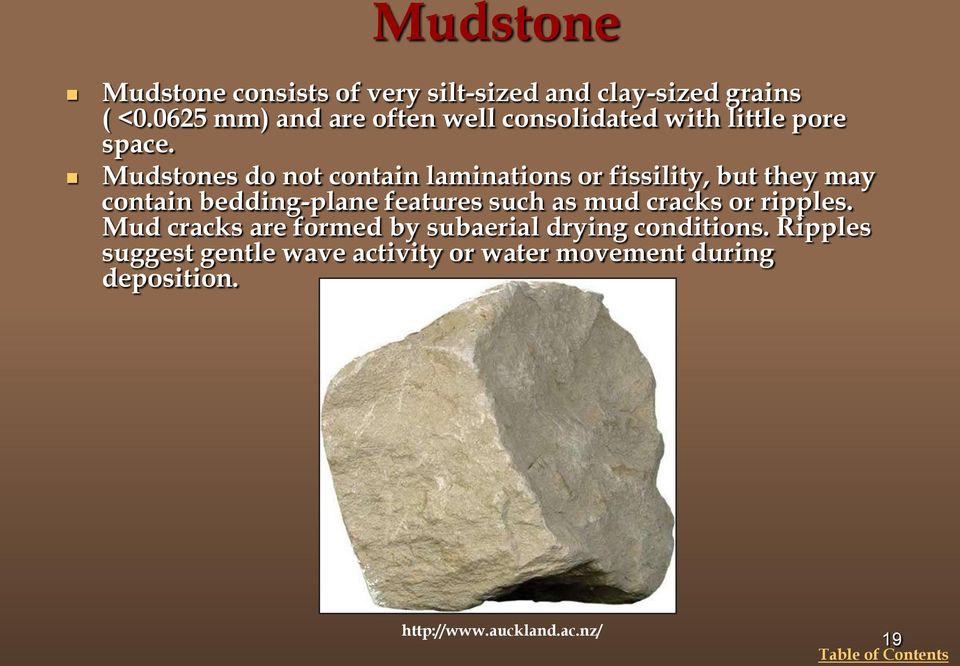 Mudstones do not contain laminations or fissility, but they may contain bedding-plane features such as
