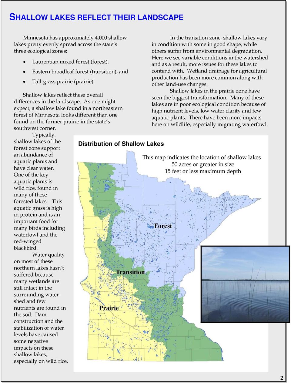 As one might expect, a shallow lake found in a northeastern forest of Minnesota looks different than one found on the former prairie in the state s southwest corner.
