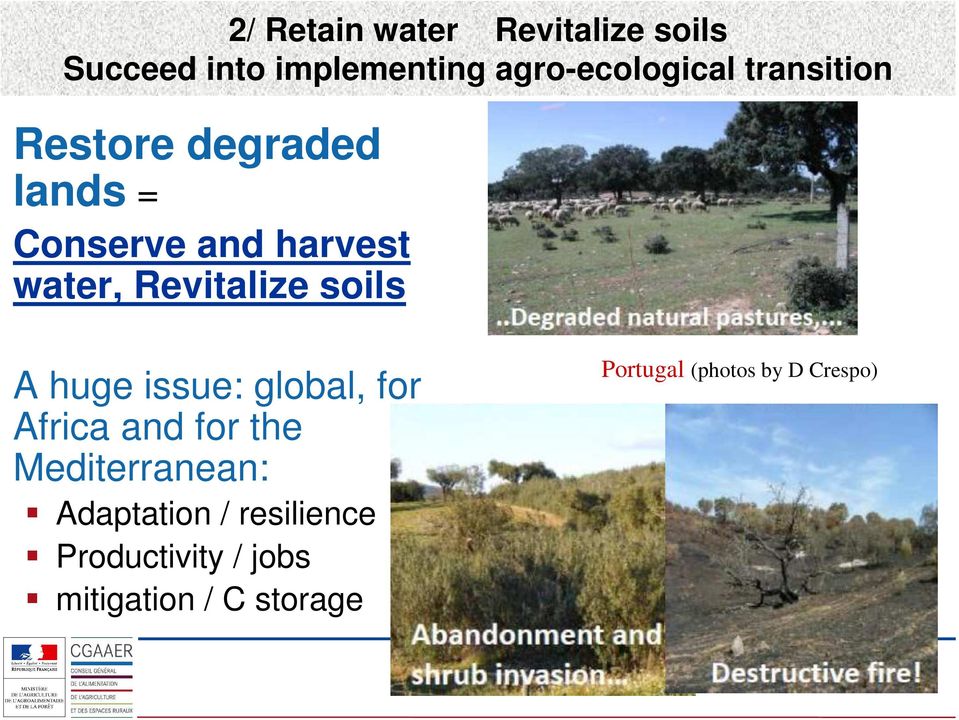 soils A huge issue: global, for Africa and for the Mediterranean: Adaptation /