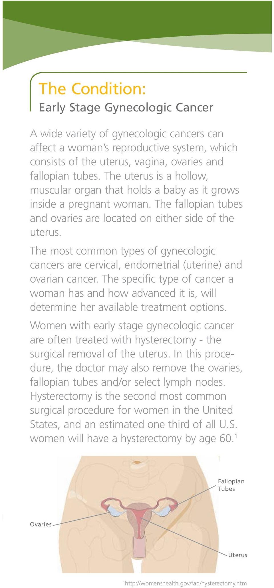 The most common types of gynecologic cancers are cervical, endometrial (uterine) and ovarian cancer.